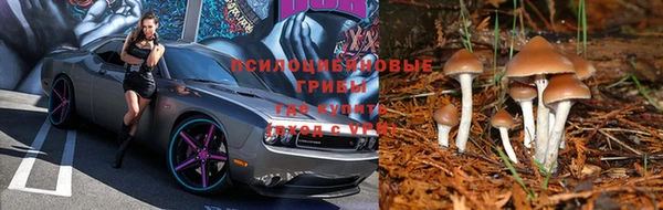 марки lsd Каменка