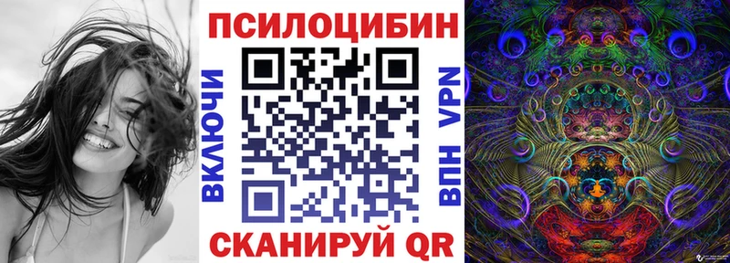 Псилоцибиновые грибы Magic Shrooms  Купить  Новоузенск 